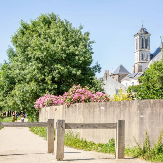 Cantenay Epinard D Mouraud Destination Angers