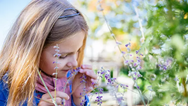 Petite fille qui sent les fleurs des jardins du Château d'Angers