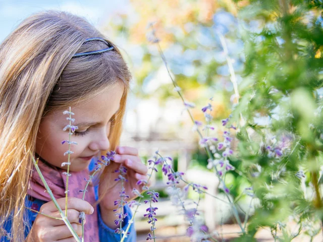 Petite fille qui sent les fleurs des jardins du Château d'Angers