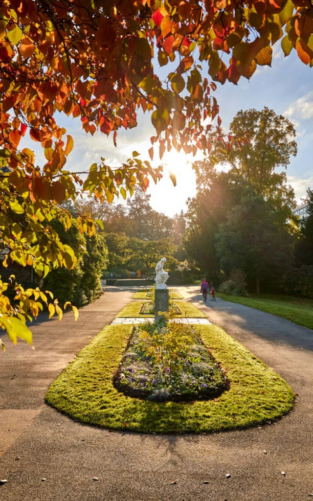 Plan large d'une allée du jardin des plantes à l'automne