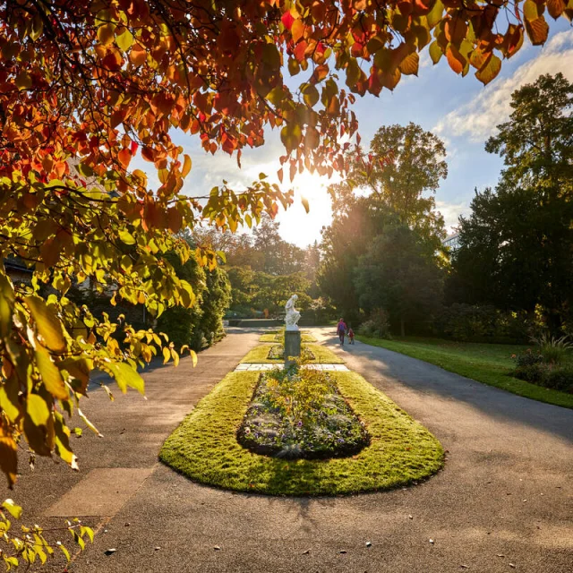 Jardin des plantes à l'Automne