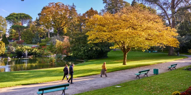 Balade au jardin des plantes à l'automne