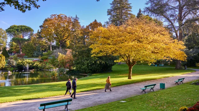 Balade au jardin des plantes à l'automne