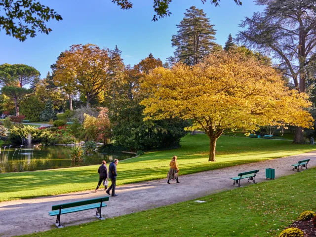 Balade au jardin des plantes à l'automne