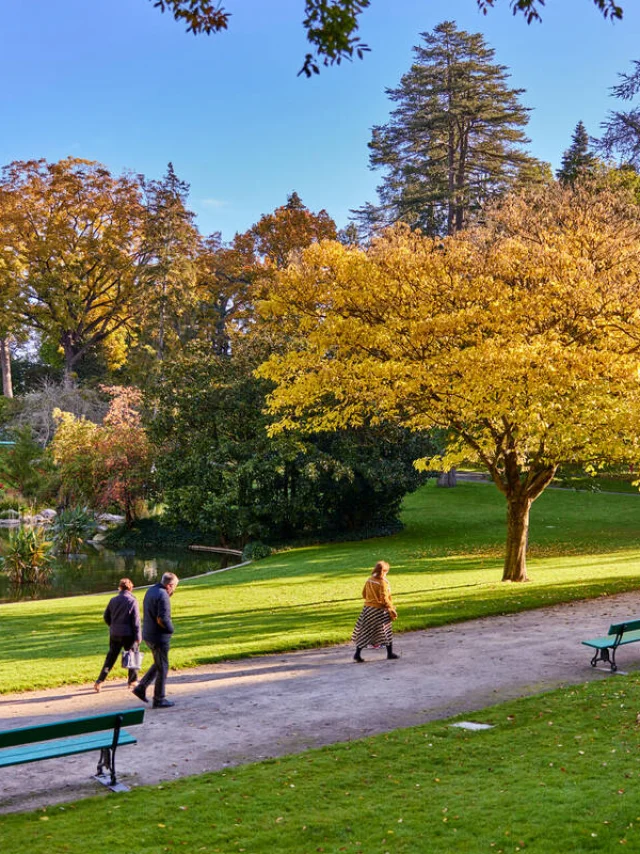 Balade au jardin des plantes à l'automne