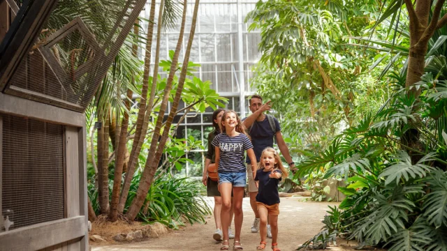 Tropical greenhouse in the park