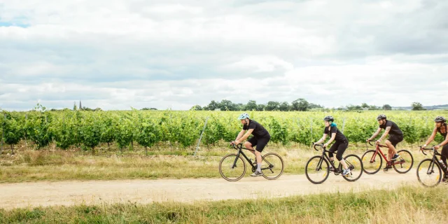 Gravel bike trip in the vineyards