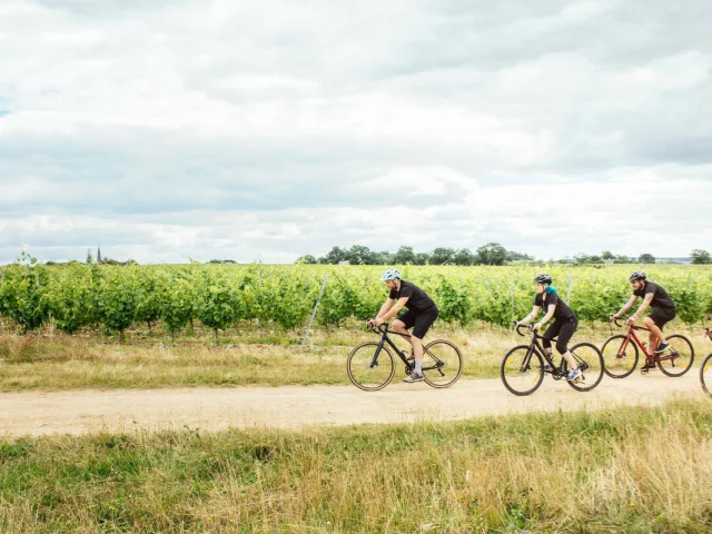 Gravel bike trip in the vineyards