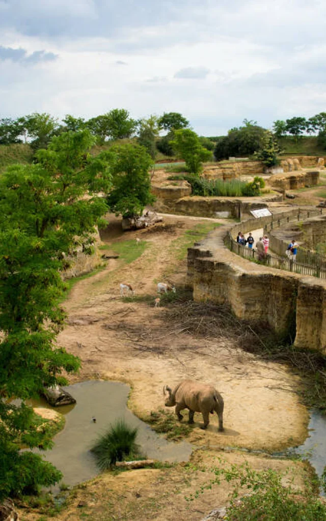 Rhino Valley at the Biopark