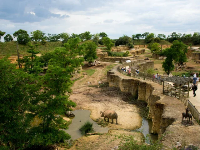 Rhino Valley at the Biopark