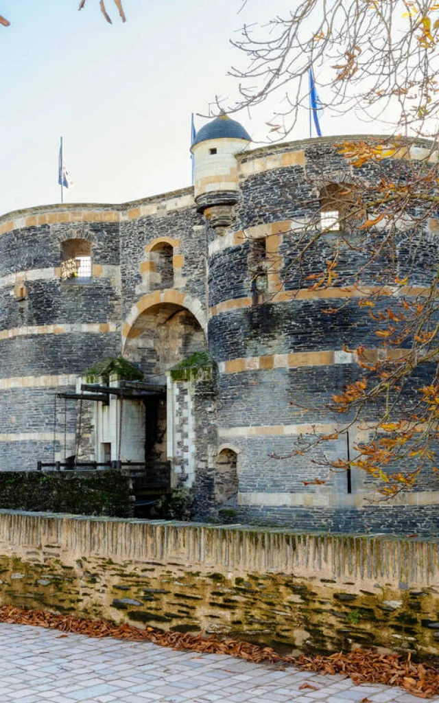 Ambiance hivernale devant le château d'Angers