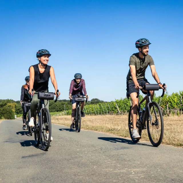 Groupe d'amis, en balade à vélo dans le vignoble