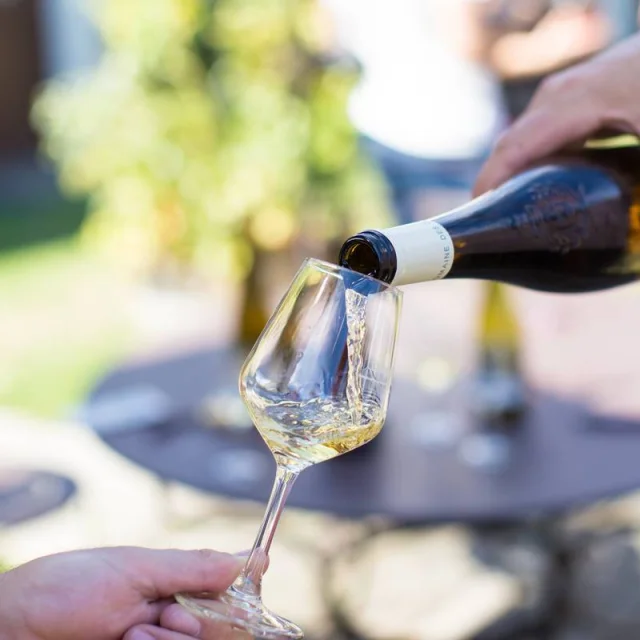 Dégustation de vin au Domaine des deux moulins