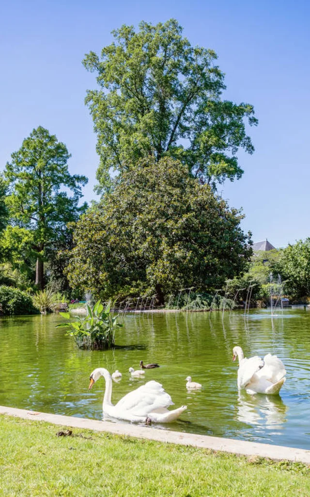 Garden of plants Angers