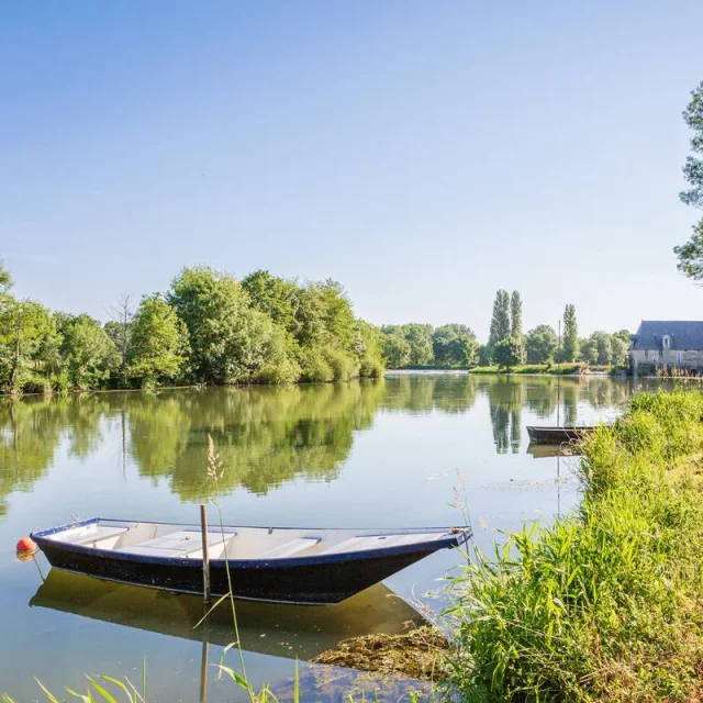 Nature au bord du Loir