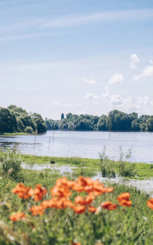 View on the Loire, confluence of Bouchemaine