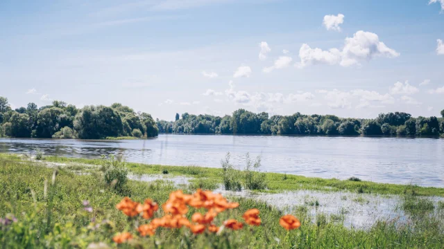 View on the Loire, confluence of Bouchemaine