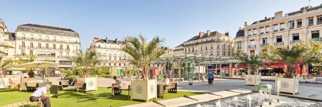 place du ralliement une soirée d'été