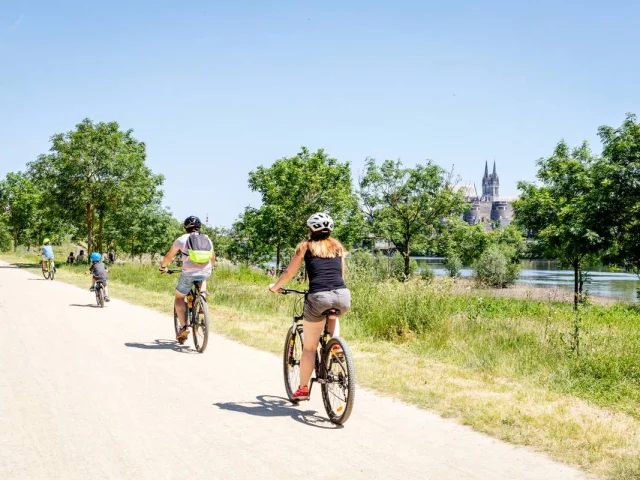 Groupe en promenade à vélo en bord de Maine