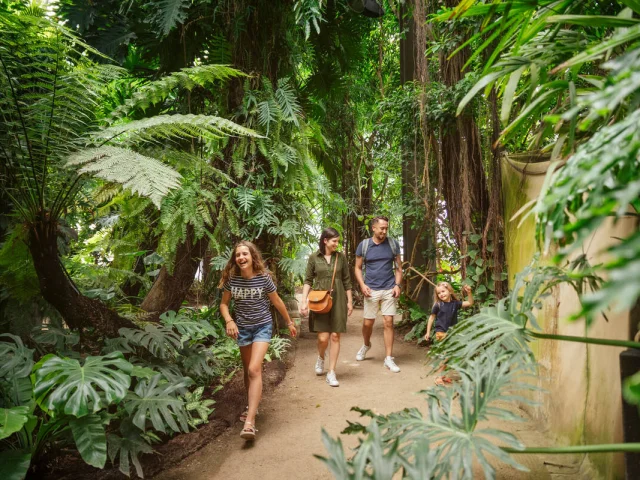 Terra Botanica's Greenhouse