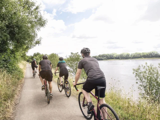 Gravel outing on the banks of the Loire