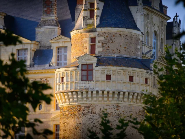 Plan rapproché sur une tour du Château de Brissac