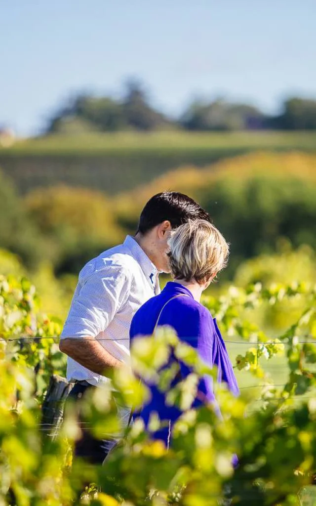 Balade dans les vignes