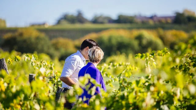 Walk in the vineyards