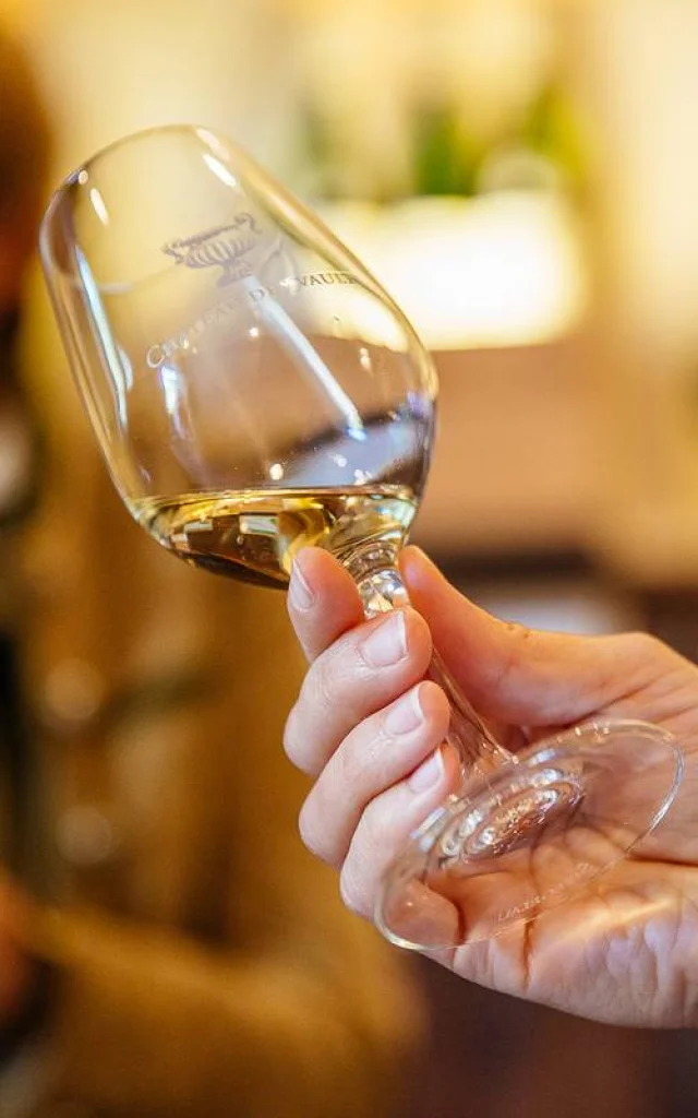 Plan rapproché d'un verre de vin blanc dans une main