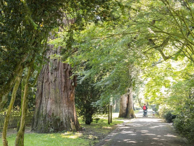 Arboretum garden