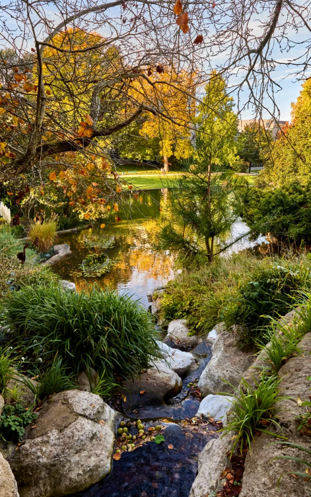 Jardin des plantes à l'automne