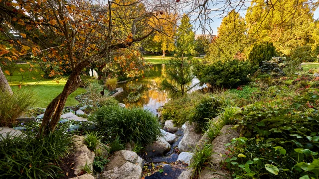 Jardin des plantes à l'automne