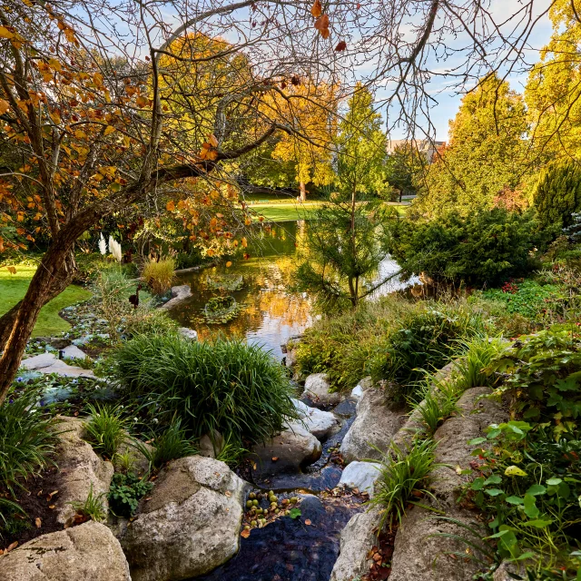 Jardin des plantes à l'automne