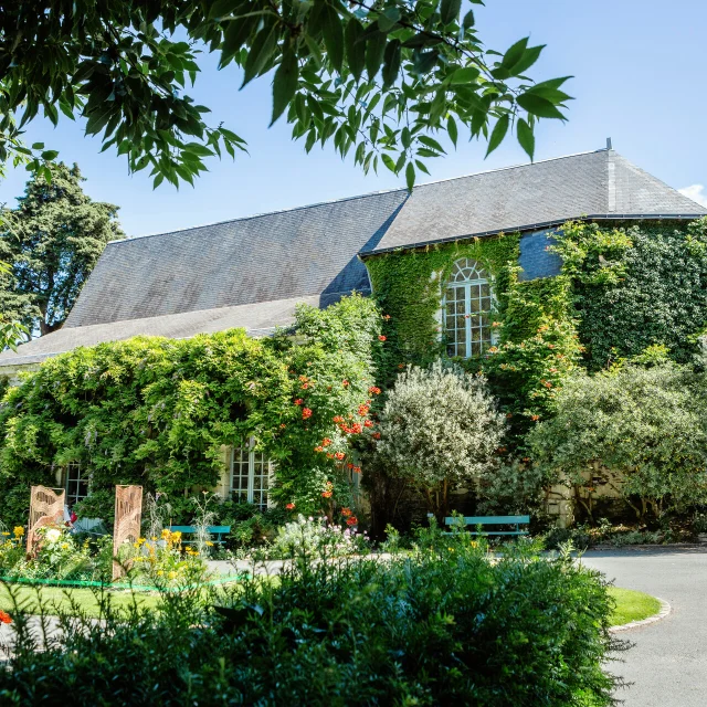 Jardin des plantes