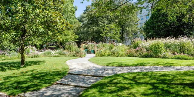 Chemins dans le jardin des plantes à Angers sous le soleil