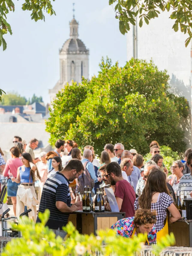 Soirée dégustation sur la Promenade du Bout du Monde