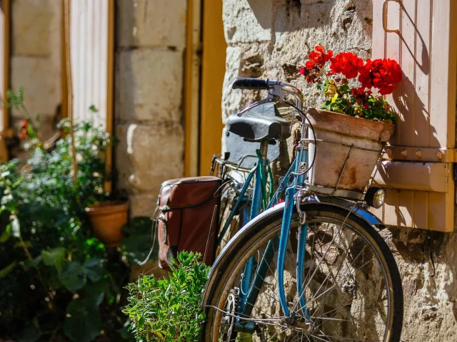 Bike in Béhuard