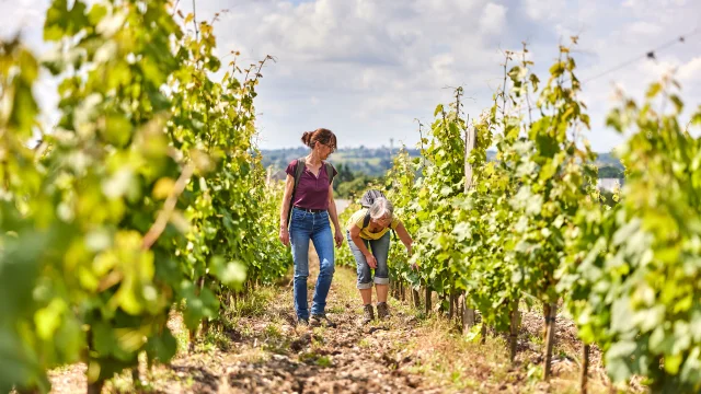 Deux personnes en balade dans les vignes à la Roche de Mûrs