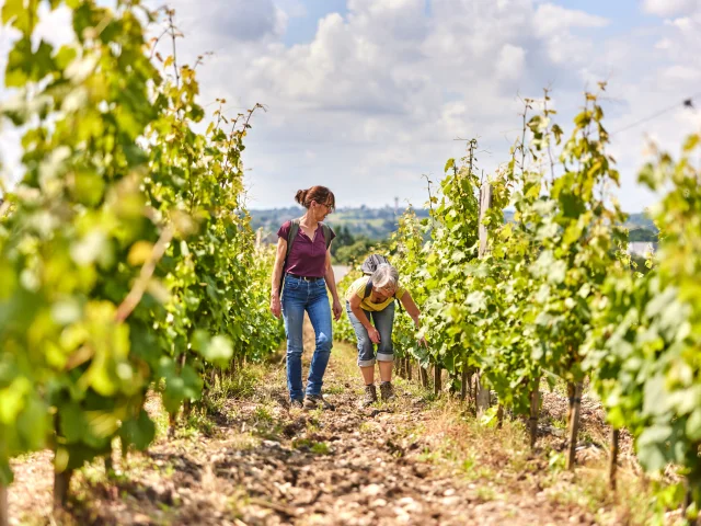 Deux personnes en balade dans les vignes à la Roche de Mûrs