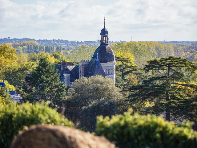 Vue sur le château des Vaults