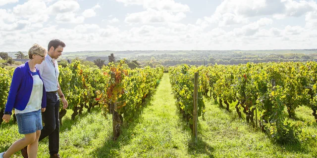 Savennieres Angers Loire Tourisme Agence Les Conteurs 8