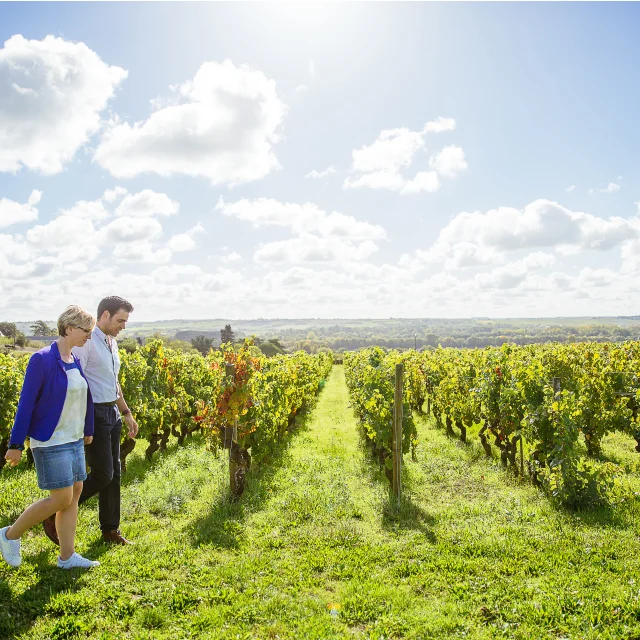 Savennieres Angers Loire Tourisme Agence Les Conteurs 8