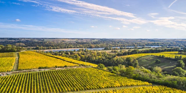 Vignoble De Savennieres A L Automne Copyright Alexandre Lamoureux Destination Angers 15112 1920px