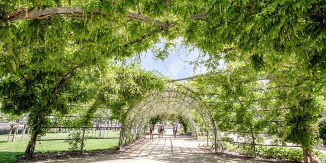 Angers Ville Verte Promenade Jean Turc