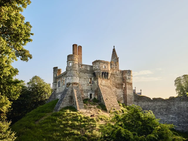 Plan large de l'extérieur du Château du Plessis Macé