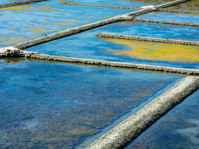 Las salinas de Guérande