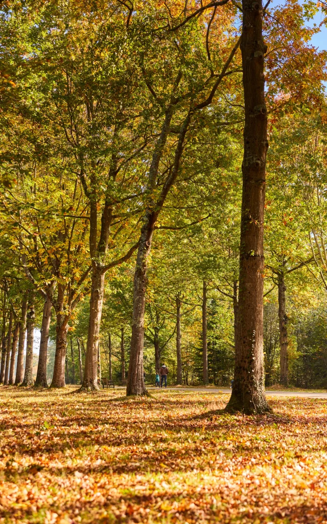 Parc De Pignerolle A L'Automne