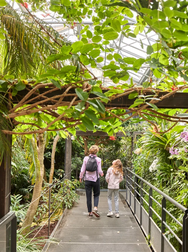 Serre des climats à Terra Botanica à Angers