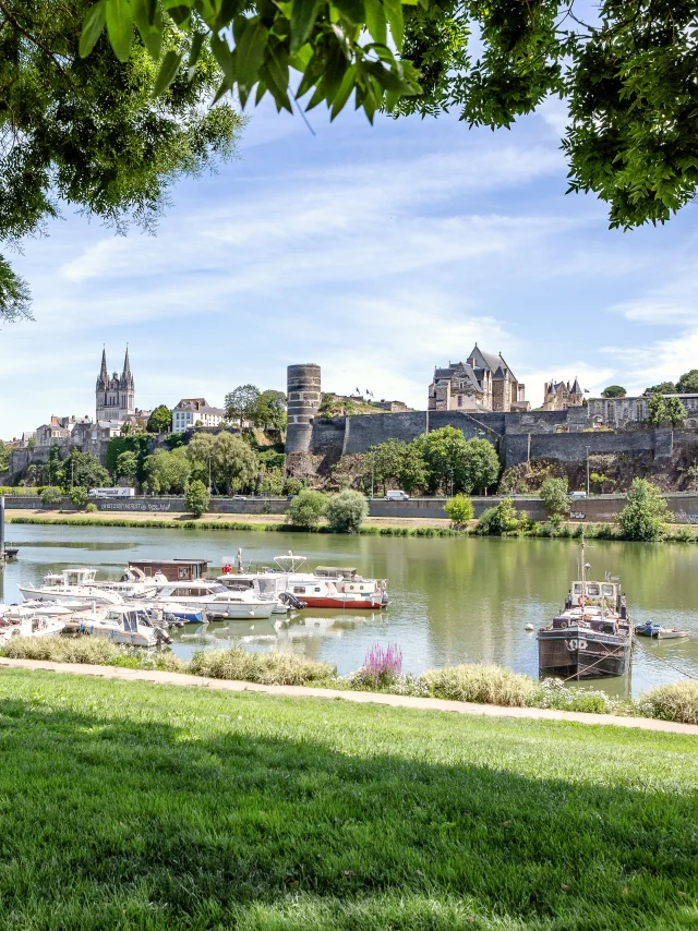 Vue Sur Le Chateau D Angers Et La Cathedrale Copyright Dorothee Mouraud Destination Angers Destination Angers 9832