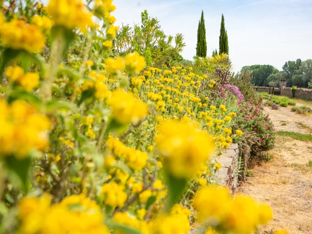 Jardin Méditerranéen de Sainte-Gemmes-sur-Loire prise au Printemps / Copyright Dorothée Mouraud - Destination Angers